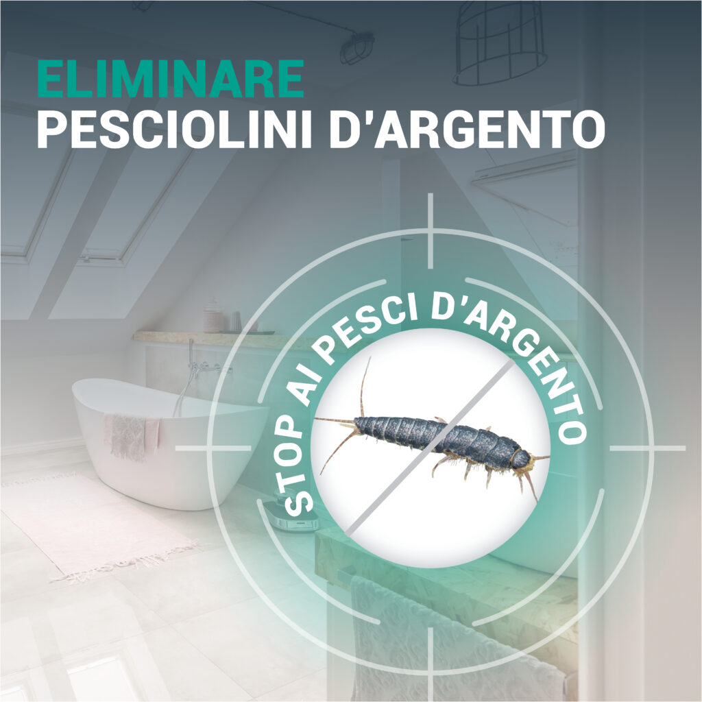 STOPPER Pesciolini d’Argento