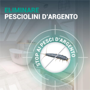 STOPPER Pesciolini d’Argento - immagine 4