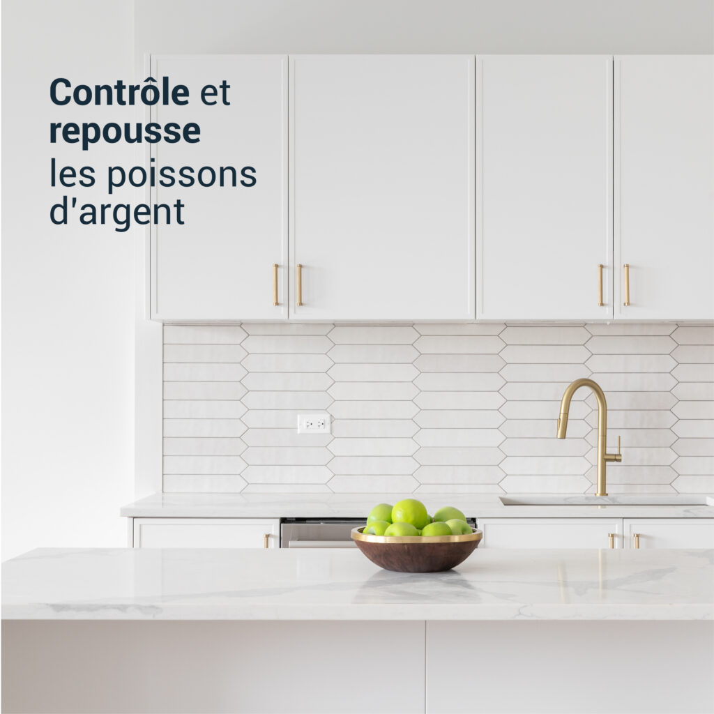 STOPPER Poissons d'Argent