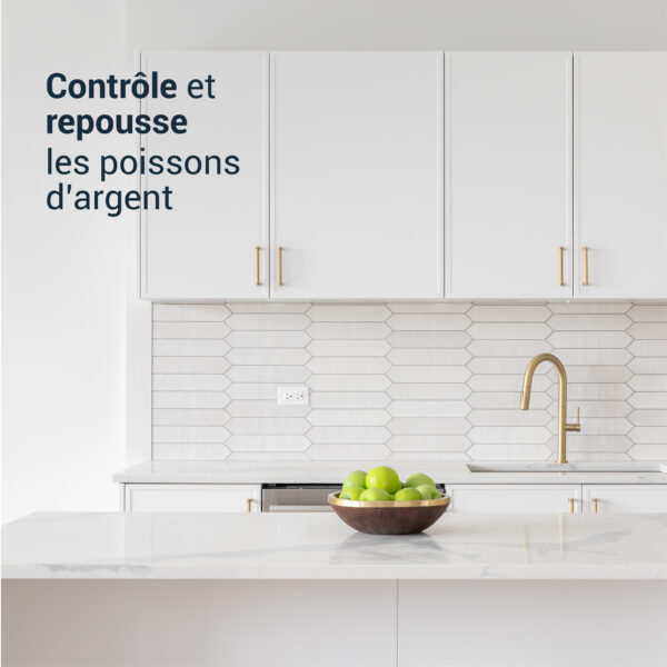 STOPPER Poissons d'Argent